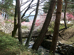 DSCF7284_thumb.png