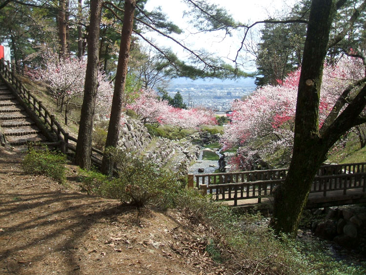 DSCF7285.jpg