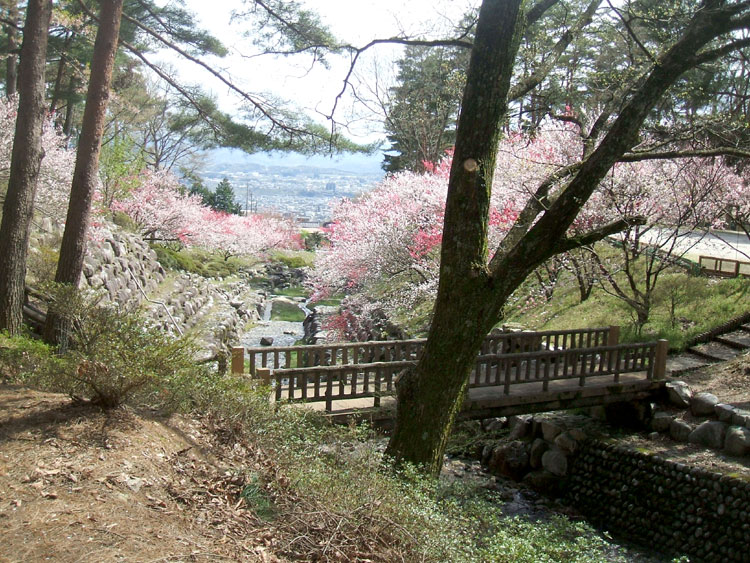 DSCF7286.jpg