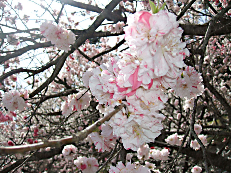 DSCF7303.jpg
