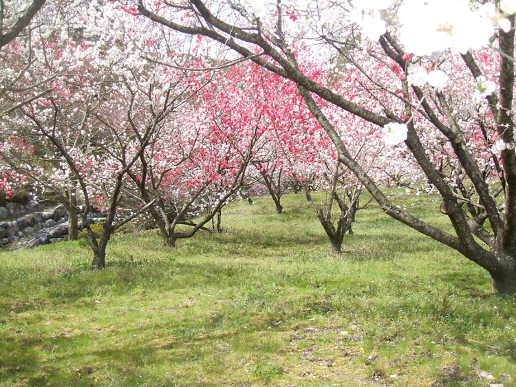 DSCF7308.jpg