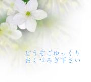 白い花のイメージ