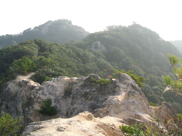 ZbAR
