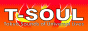 T-SOUL