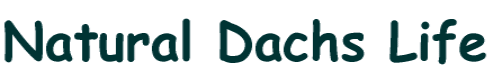 Natural Dachs Life