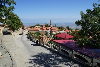 VOiM