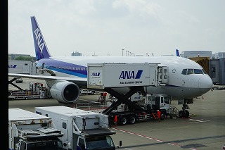 NH813
