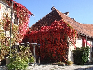 gt