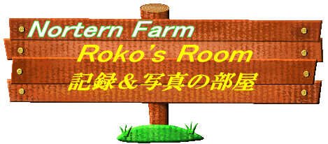 Nortern Farm 2026 Roko's Room