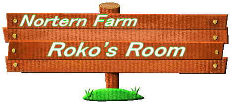 roko_room