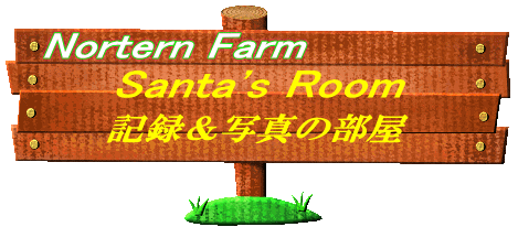 Nortern Farm 2026 Santa's Room