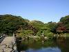 日本庭園画像2