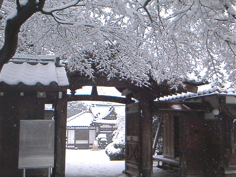 雪の中の寺門
