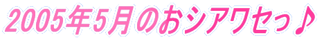 2005�N5���̂��V�A���Z����
