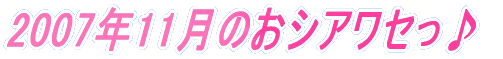 2007�N11���̂��V�A���Z����