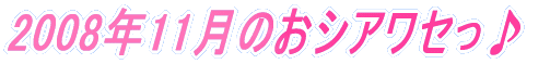2008�N11���̂��V�A���Z����
