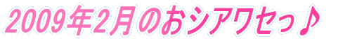 2009�N2���̂��V�A���Z����