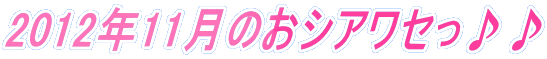 2012�N11���̂��V�A���Z�����