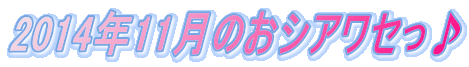 2014�N11���̂��V�A���Z���� 