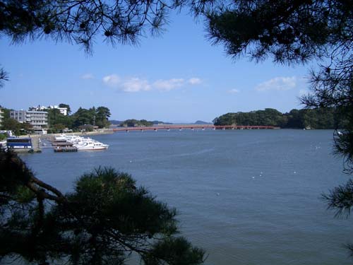 �����̋�