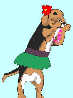 �t���_���X�̌�