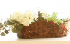 エッセイ・詩的な建築