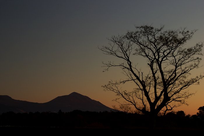 「高千穂の峰と一本の樹」左クリックで次の写真へ