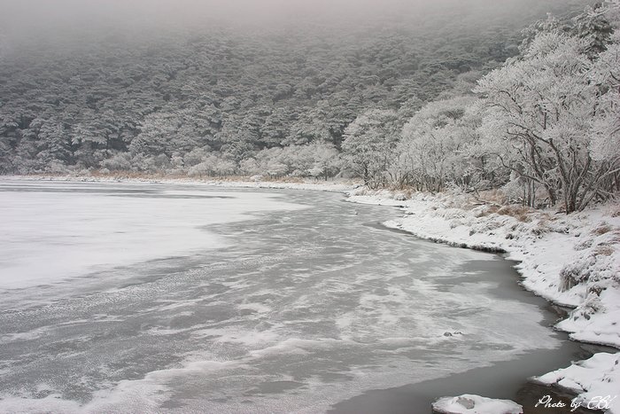 白紫池の雪景色