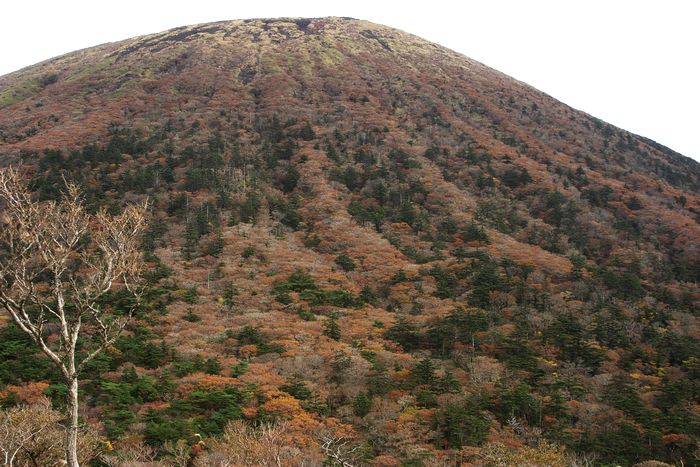 韓国岳の紅葉