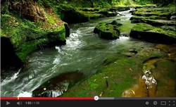 久留味川渓流のYouTube動画です