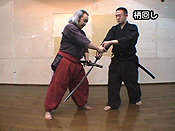 游心流武術健身法　上級教材DVD-2