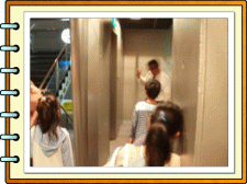 �t���[��