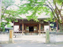 �t���[��