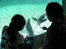 �t���[��