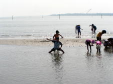 �t���[��