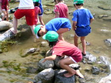 �t���[��