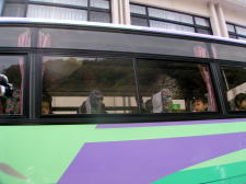 �t���[��