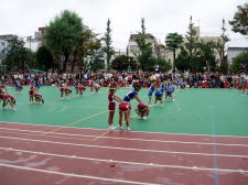 �t���[��