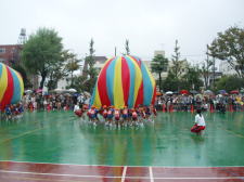 �t���[��