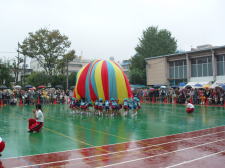 �t���[��