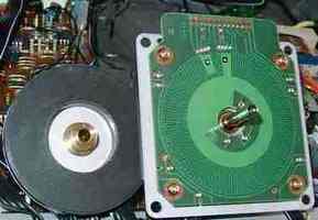 �X�s���h���̓��ɍd����������