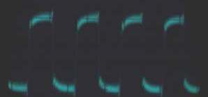 1KH�����`�g�̍Đ��g�`