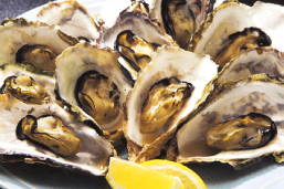 能登カキのフルコースの写真