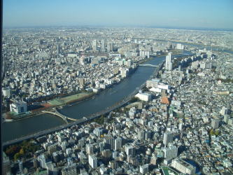 ���y�[�W�F�T�|���̂R�i�Z�{�؃q���Y�W�]��E�����V�e�B�r���[����̒��߁j