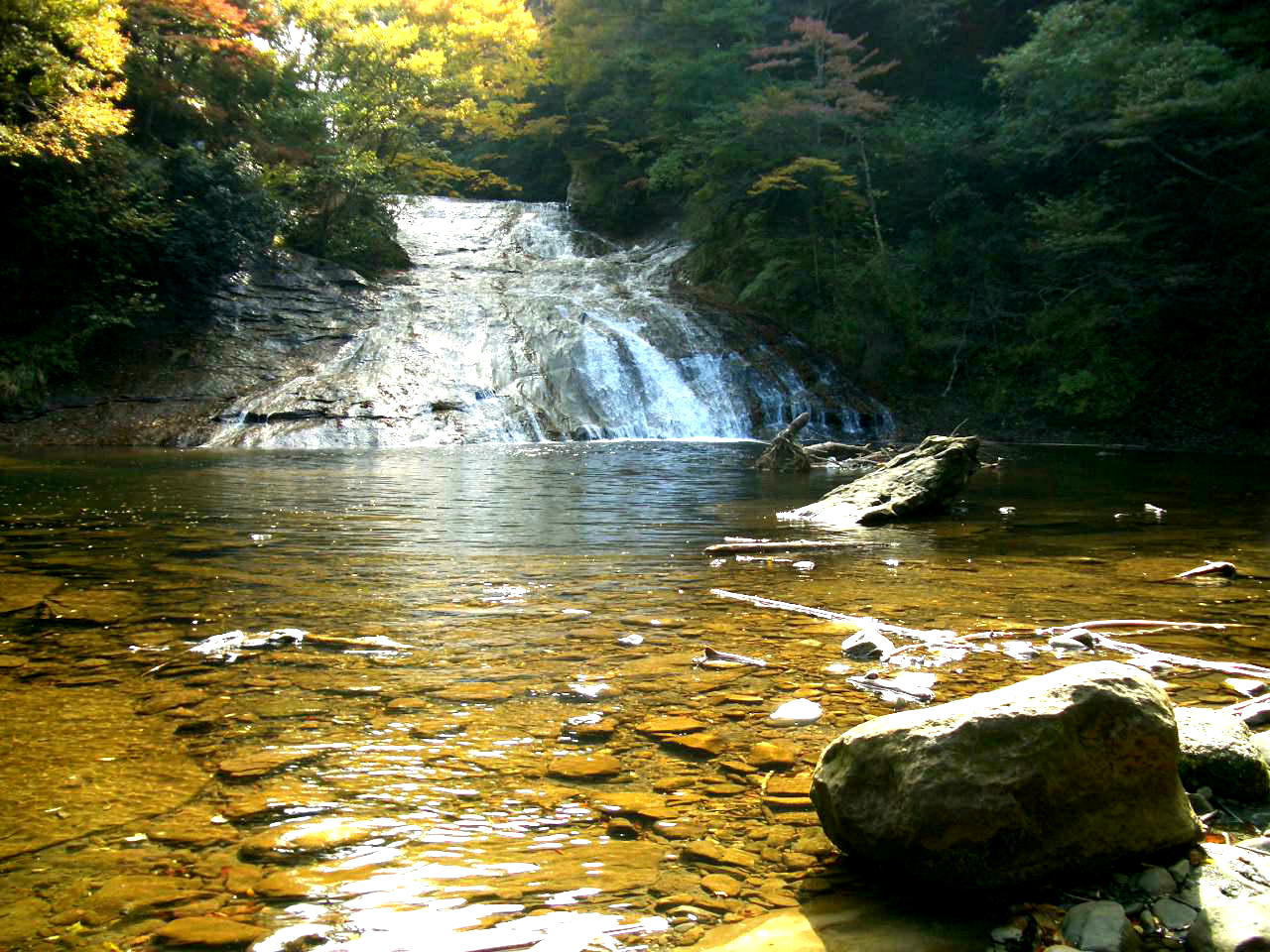 ���y�[�W�F�V �w�{�V�k�J�u�I���̑�v�`�����N���[�Y�̃h���C�u�x �|���̂P�i�{�V�k�J�u�I���̑�v�j