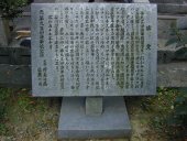 ��Z�O�l�A���O�l�C�R�q����ԗ��