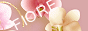 YȉԂ̔wi摜Fiore